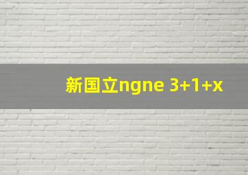 新国立ngne 3+1+x